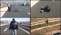 Pijani muškarac spavao nasred autoceste kod Zadra