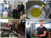 Kakvo veselje u uljari kraj Splita! ‘Masline nikad nisu bolje plaćale! Ovo su rekordno visoki randmani, svima fali kanti...‘ Doznali smo i kolika će biti cijena ulja