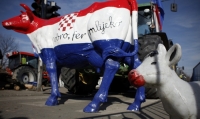"Naše mlijeko završava 'vani', a domaći ljudi piju smeće"